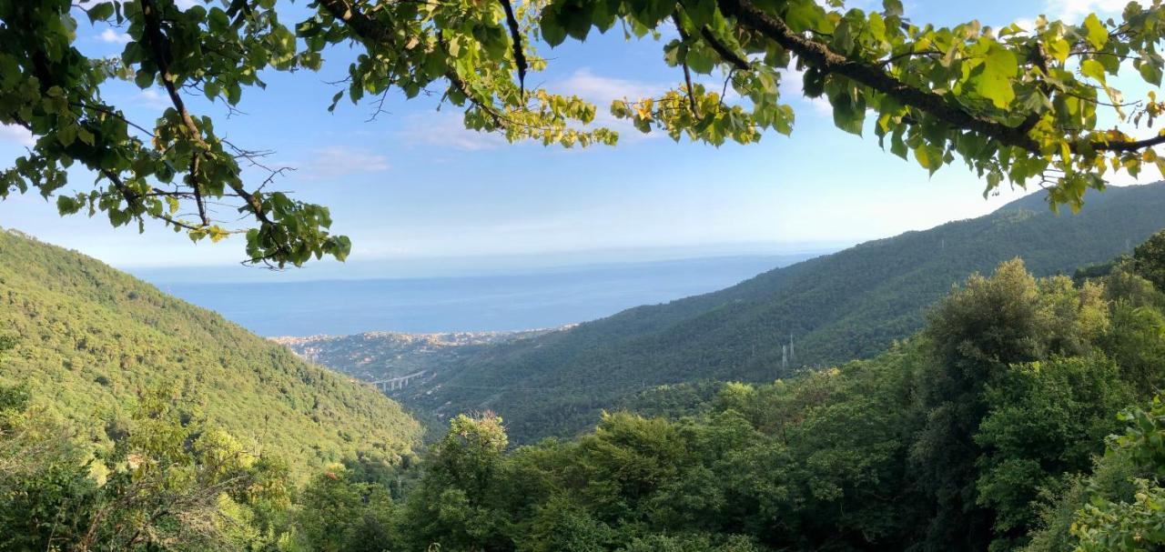 Appartamento Ai Piedi Della Pigna سانريمو المظهر الخارجي الصورة